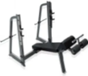 Olympic Decline Bench (LD-9041)