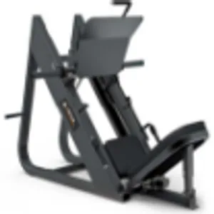 Leg Press (LD-9056)