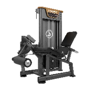 Leg Extension (LDHS-163)