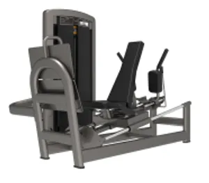 Leg Press (LDPS-108)