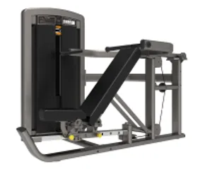 Chest Press (LDPS-119)