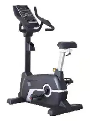 Xe đạp đứng (Upright Bike) (LDT-09)