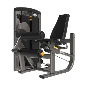 Seated Leg Curl (PS113)
