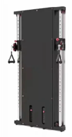 Functional Trainer treo tường (PT-031)