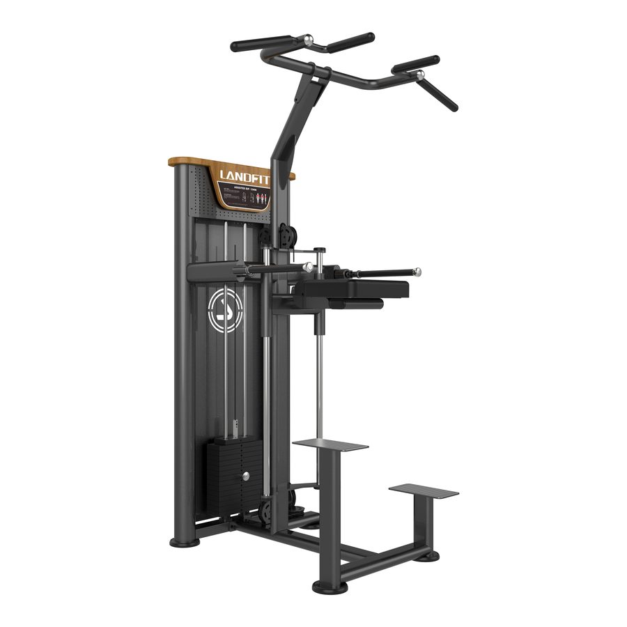Assisted Dip/Chin Cimac LDHS-161